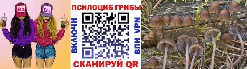 Псилоцибиновые грибы MAGIC MUSHROOMS  Чулым 